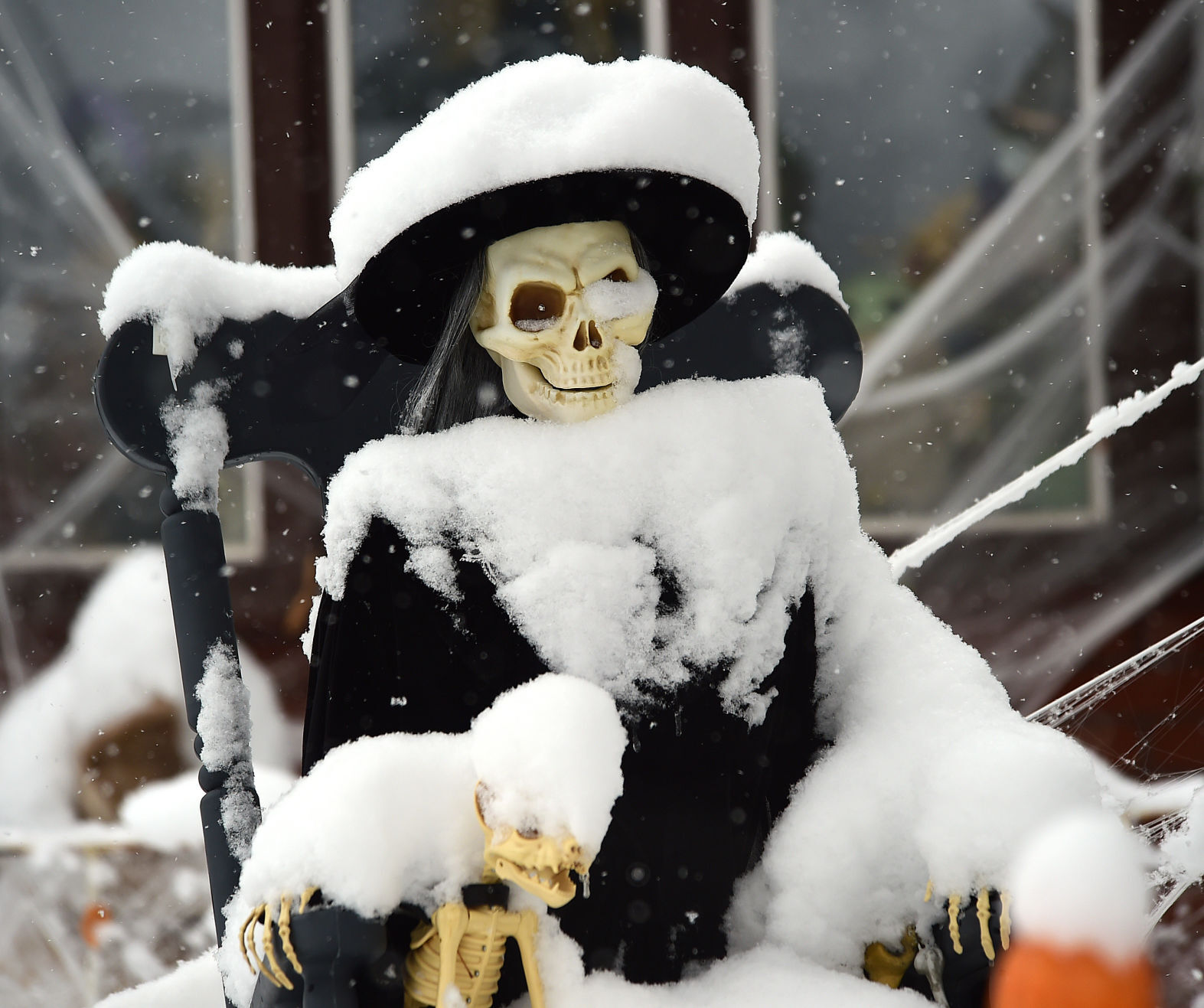 Billings snow scenes